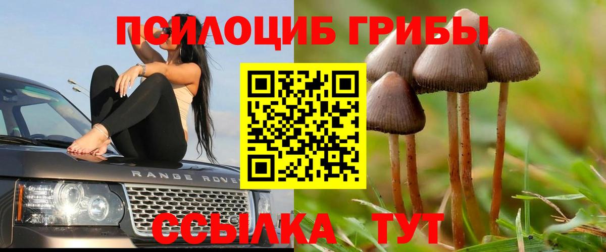 Луховицы  Галлюциногенные грибы Cubensis  Вход с VPN  Псилоцибиновые грибы Psilocybe 