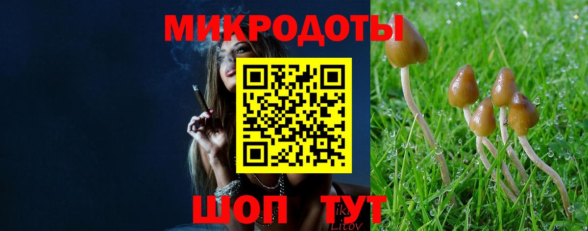 Галлюциногенные грибы мицелий Луховицы